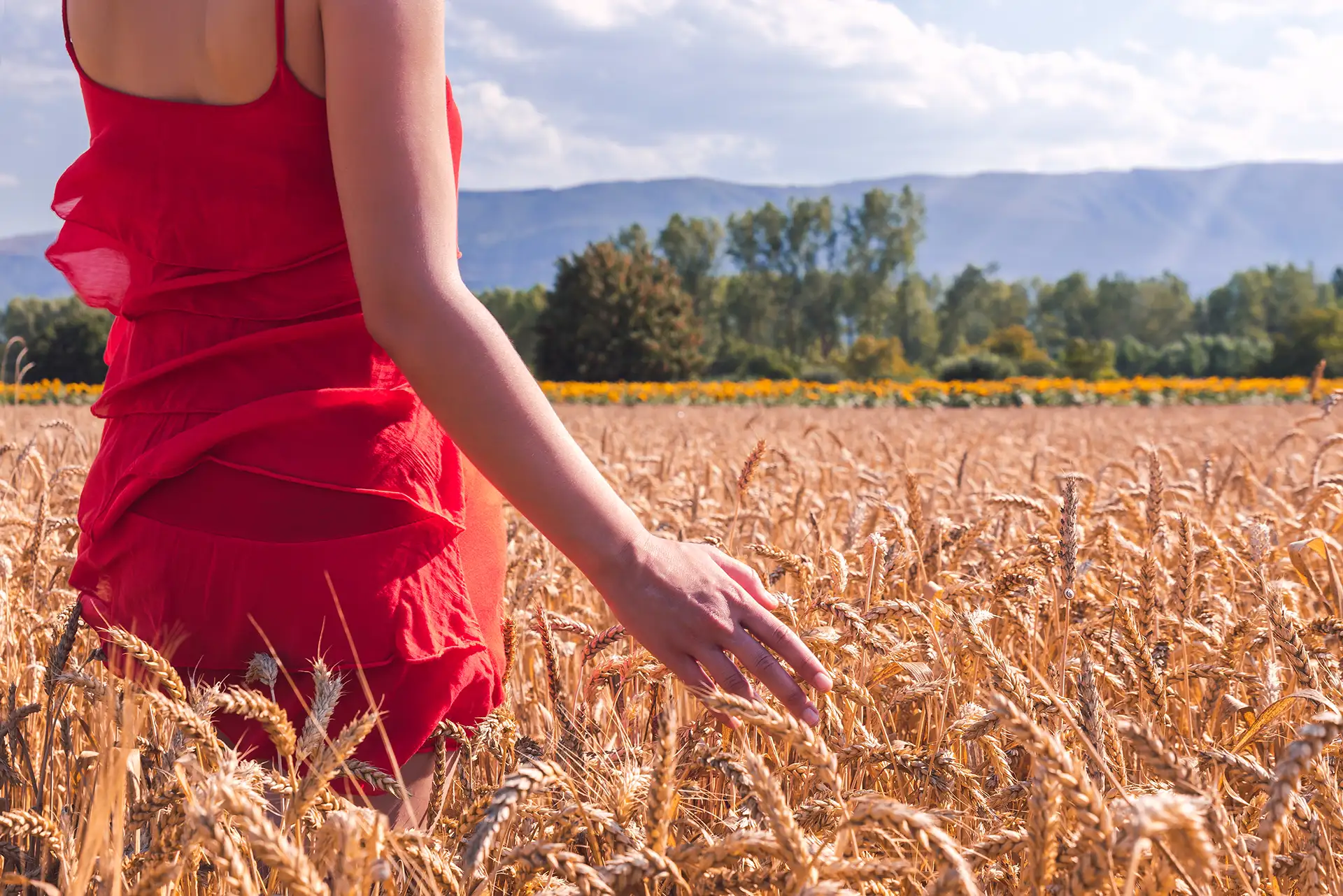 donna in un campo di grano
